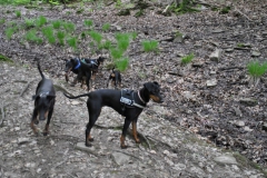DSC_0756-Small