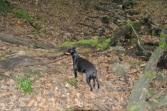 DSC_0767-Small