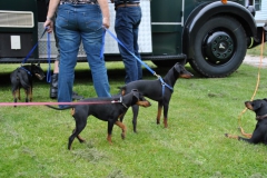 DSC_0773-Small