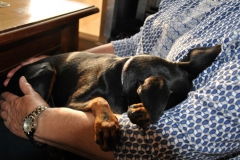DSC_0780-Small