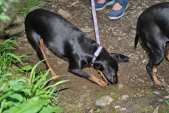 DSC_0784-Small