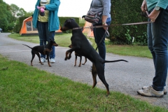DSC_0790-Small