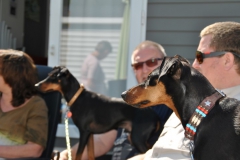 DSC_0807-Small