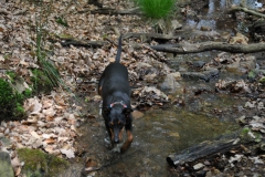DSC_0810-Small