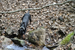 DSC_0819-Small