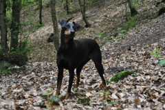DSC_0822-Small
