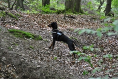 DSC_0824-Small