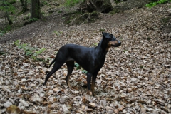 DSC_0825-Small