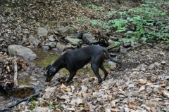 DSC_0826-Small