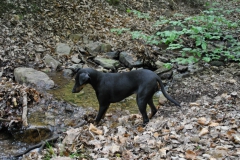DSC_0827-Small
