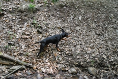 DSC_0829-Small
