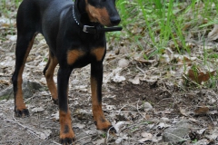 DSC_0833-Small