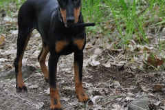 DSC_0834-Small