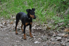 DSC_0835-Small