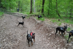 DSC_0840-Small