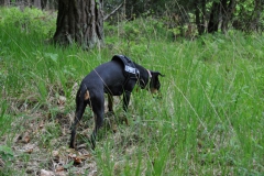 DSC_0849-Small