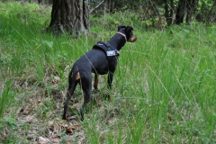DSC_0850-Small