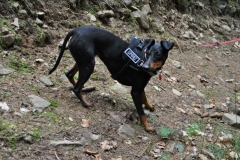 DSC_0857-Small