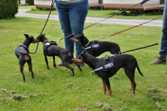 DSC_0860-Small