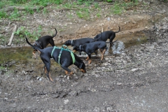 DSC_0870-Small