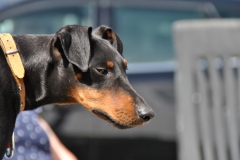 DSC_0898-Small