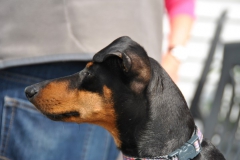 DSC_0899-Small