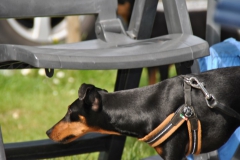 DSC_0901-Small