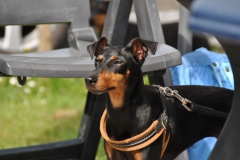 DSC_0902-Small