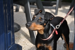 DSC_0903-Small