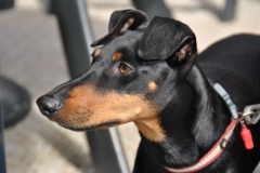DSC_0904-Small