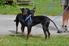 DSC_0905-Small