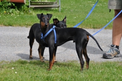DSC_0906-Small