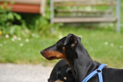 DSC_0907-Small