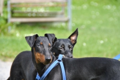 DSC_0908-Small