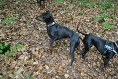 DSC_0915-Small