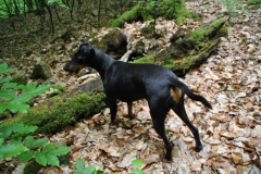 DSC_0919-Small