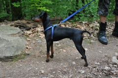 DSC_0926-Small