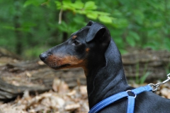 DSC_0927-Small