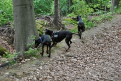 DSC_0929-Small