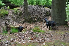 DSC_0930-Small