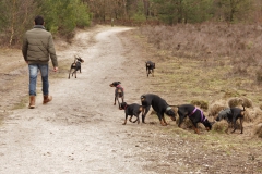 MTCN 17