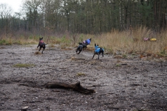 Nieuwjaarswandeling | 11-01-'20