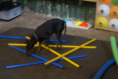 434317697_849322317238307_2603161894979329870_n