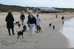 DSC_2729-min