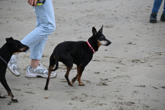 DSC_2750-min