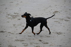 DSC_2751-min