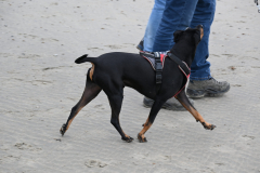 DSC_2754-min