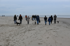DSC_2768-min